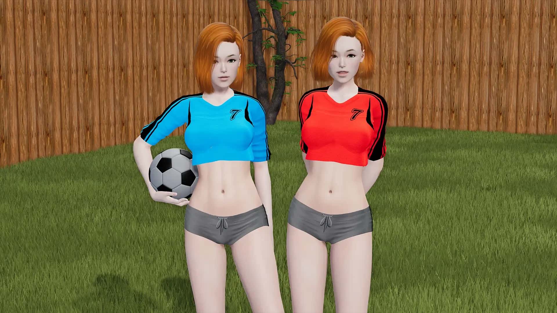 视觉数据6